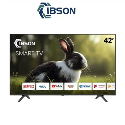 Téléviseur IBSON 42″ LED Full HD IB-42FT1002
